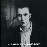 David Gray - A Century Ends