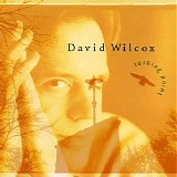 David Wilcox - Turning Point