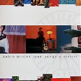 David Wilcox - Live Songs & Stories