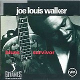 Joe Louis Walker - Blues Survivor