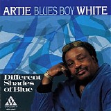 Artie "Blues Boy" White - Different Shades Of Blue