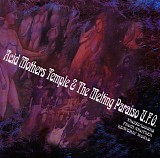 Acid Mothers Temple & The Melting Paraiso U.F.O. - Troubadours From Another Heavenly World