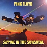Pink Floyd - Supine In The Sunshine