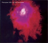 Porcupine Tree - Up the Downstair/Staircase Infinities [Remaster]