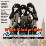 Various artists - What Kind Of Girl Do You Think I Am