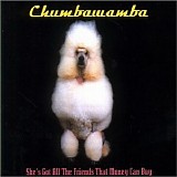 Chumbawamba - She's Got All The Friends That Money Can Buy (US CD single)