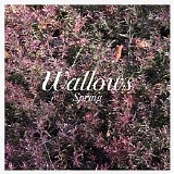 Wallows - Spring EP