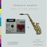 Terrace Martin - 808s And Sax Breaks