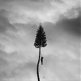 Manchester Orchestra - A Black Mile to the Surface