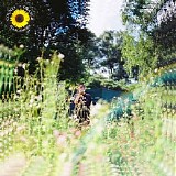 Rex Orange County - Sunflower