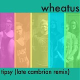 Wheatus - Tipsy (Late Cambrian Remix)