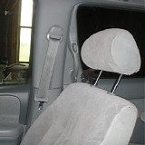 Car Seat Headrest - 1