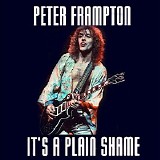 Peter Frampton - It's A Plain Shame