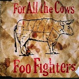 Foo Fighters - For All the Cows