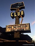 Pink Talking Fish - 2018-12-08 - Crystal Bay Club, Crystal Bay, NV