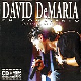 David DeMarÃ­a - En concierto