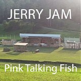 Pink Talking Fish - 2019-07-19 - Jerry Jam XXIV, Klay Knoll Farm, Bath, NH