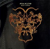 Pink Floyd - Keep Talking (Demo CDS)