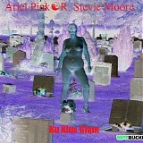 R. Stevie Moore & Ariel Pink - Ku Klux Glam