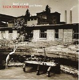 Eliza Gilkyson - Land of Milk & Honey