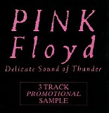Pink Floyd - Delicate Sound Of Thunder (Promo CDMS)