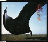 Pink Floyd - High Hopes (CDMS)