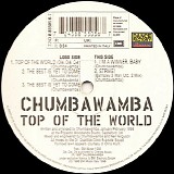 Chumbawamba - Top Of The World
