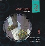 Pink Floyd - Learnjng To Fly (CDMS)