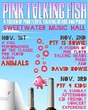 Pink Talking Fish - 2019-11-01 - Sweetwater Music Hall, Mill Valley, CA
