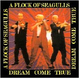 A Flock Of Seagulls - Dream Come True