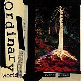Duran Duran - The Singles 1986-1995 CD10 - Ordinary World