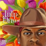 Various artists - Tulip Drive