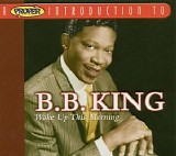 B.B. King - A Proper Introduction To B.B. King : Woke Up This Morning