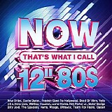 Various artists - Now Thatâ€™s What I Call 12' 80s