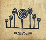 The Pineapple Thief - Nothing But the Truth