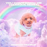 Meghan Trainor - You Don't Know Me (Sidekick Remix)