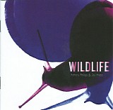 Anthony Phillips & Joji Hirota - Wildlife