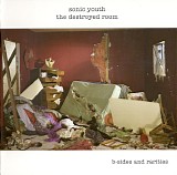 Sonic Youth - The Destroyed Room (B-Sides And Rarities)