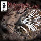 Bucketheadland - The Astrodome
