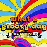 Various Artists - What A Groovy Day