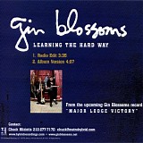 Gin Blossoms - Learning the Hard Way