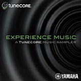 Various artists - Experience Music_ A Tunecore Music Sampler