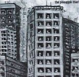 Pineapple Thief, The - 12 Stories Down