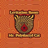 Levitation Room - Mr. Polydactyl Cat