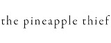 Pineapple Thief, The - EPs & Rarities