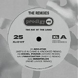 The Prodigy - The Fat Of The Land (25th Anniversary - The Remixes)