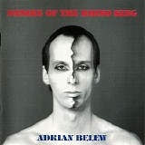 Adrian Belew - Desire Of The Rhino King