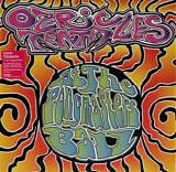 Ozric Tentacles - At The Pongmaster's Ball
