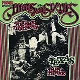 Various Artists - Highs In The Mid-Sixties 13 and 17 Texas