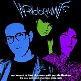 Wondermints, The - Our Music Is Blue And Green With Purple Flashes